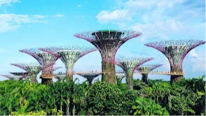 Gardens by the Bay